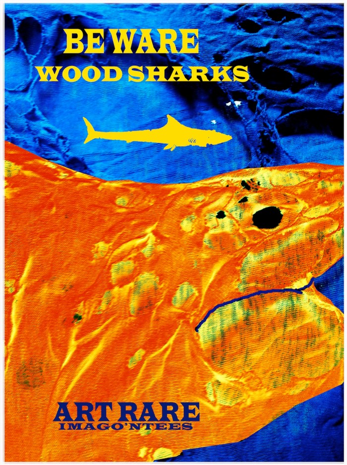 Wood Sharks Be Rare Wares