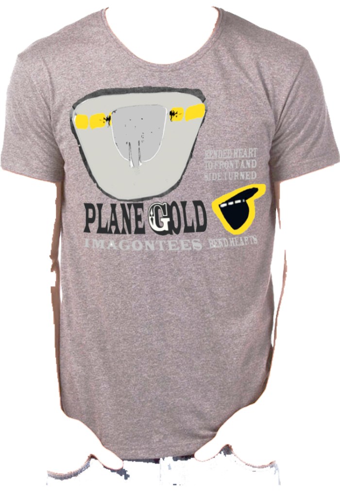Plane TGold 