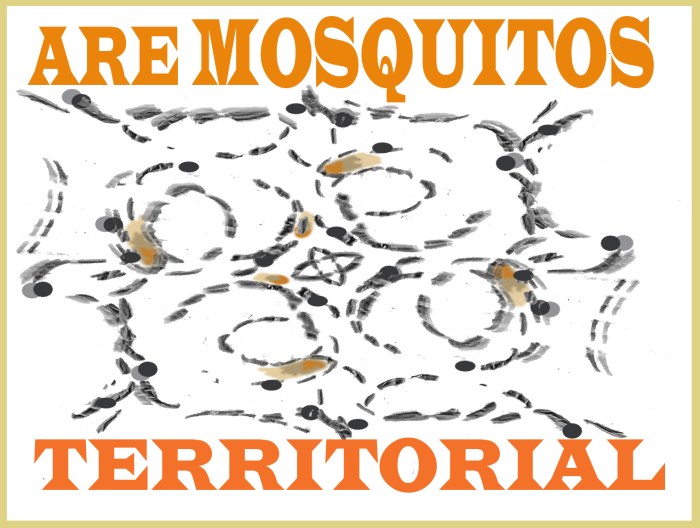 Mossies territoriality